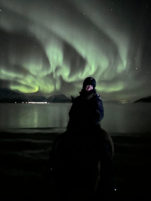 Tromsø: Lyngen Horse Winter Evening Riding Experience - The End Result: A Quiet, Authentic Arctic Encounter