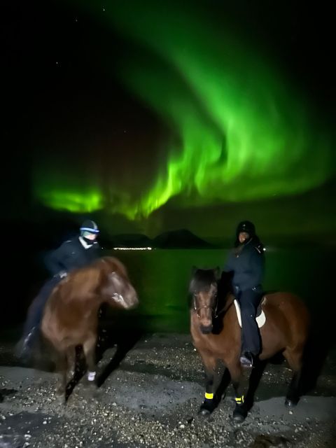 Tromsø: Lyngen Horse Winter Evening Riding Experience - Who Will Love This Experience?