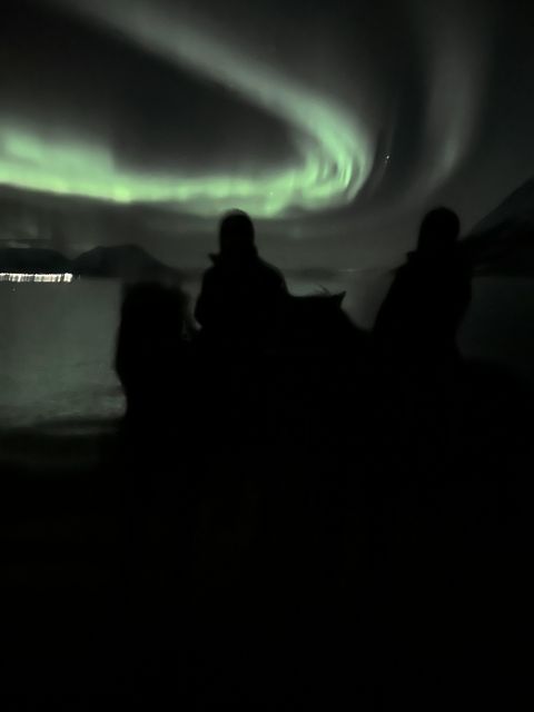 Tromsø: Lyngen Horse Winter Evening Riding Experience - FAQ