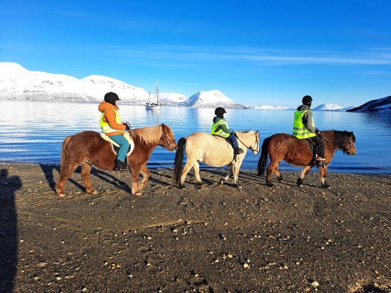 Tromsø: Lyngen Horse Winter Riding Experience - The Experience’s Value