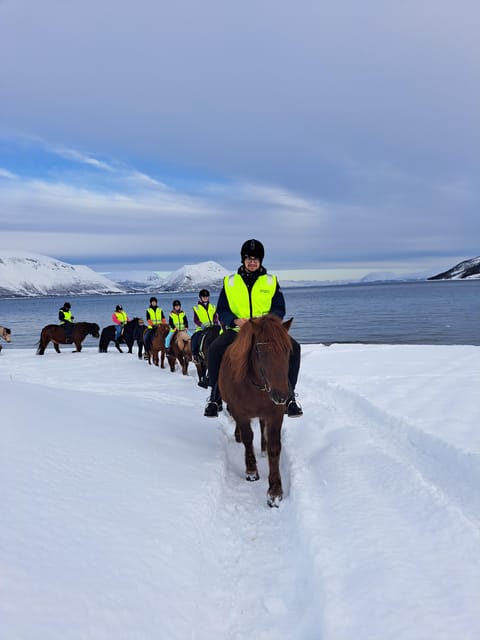 Tromsø: Lyngen Horse Winter Riding Experience - The Authenticity and Atmosphere