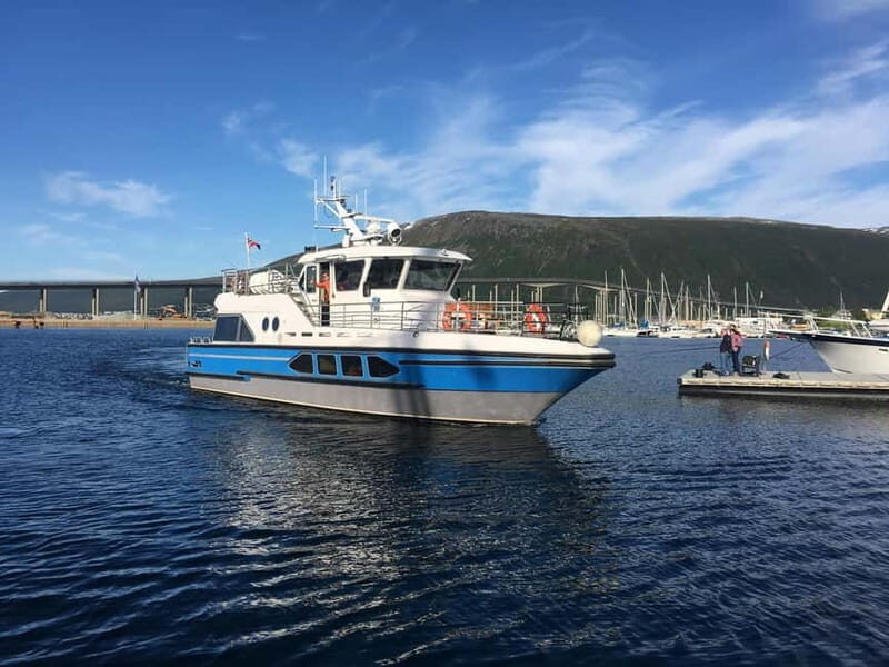 Tromsø: Midnight Sightseeing Cruise All-inclusive - A Deep Dive into the Tromsø Midnight Sightseeing Cruise