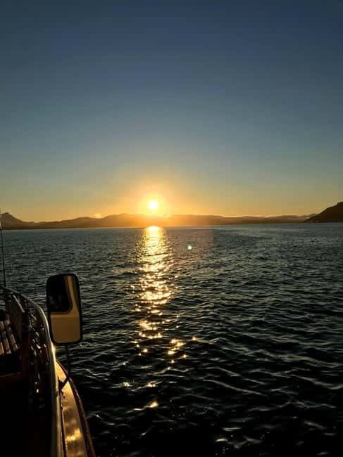 Tromsø: Midnight Sightseeing Cruise All-inclusive - Final Thoughts