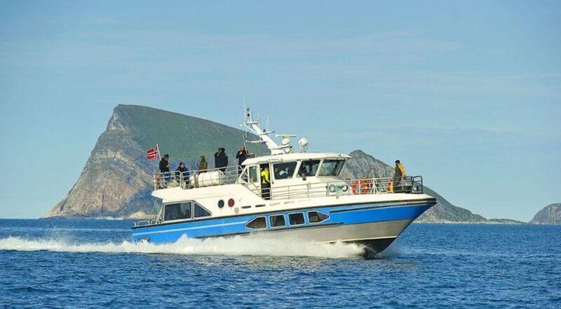 Tromsø: Midnight Sightseeing Cruise All-inclusive - Who Should Consider This Tour?