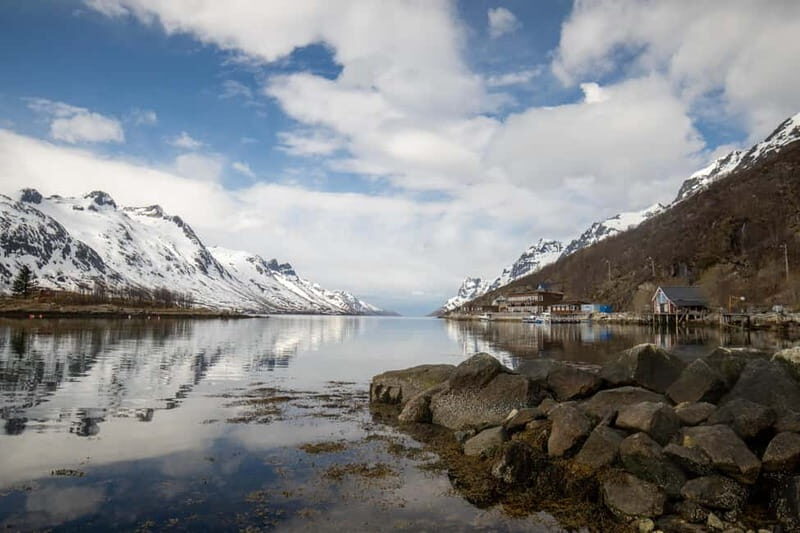 Tromsø: Midnight Sun Adventure with Lunch and Photos - Authentic Experiences and Real Traveler Feedback