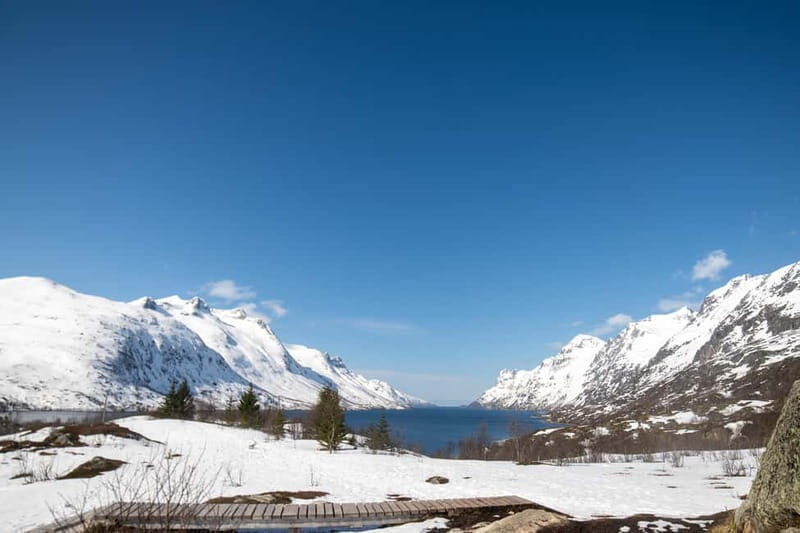 Tromsø: Midnight Sun Adventure with Lunch and Photos - FAQ