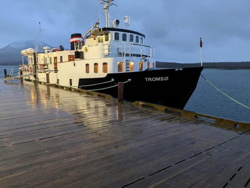 Tromsø: Midnight Sun Or Northern Lights Cruise - Key Points