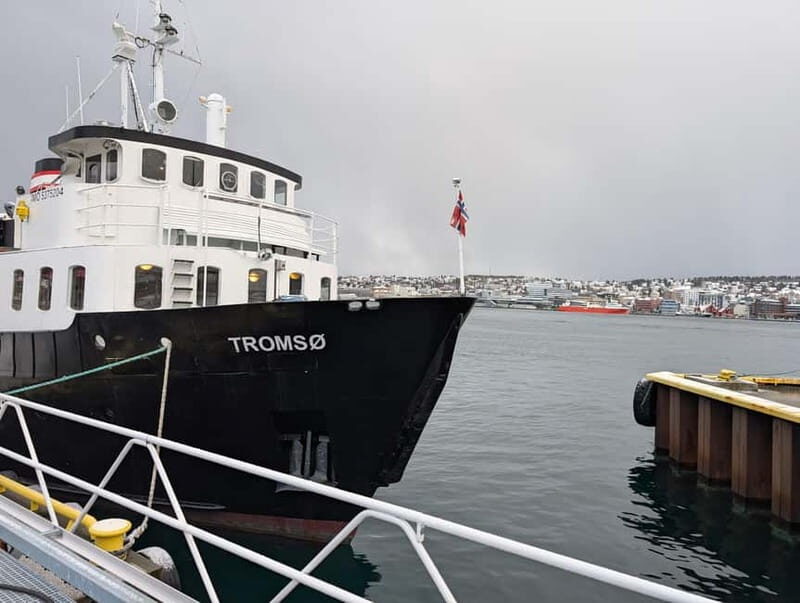 Tromsø: Morning Cruise Through Tromsø`s Fjords - FAQs