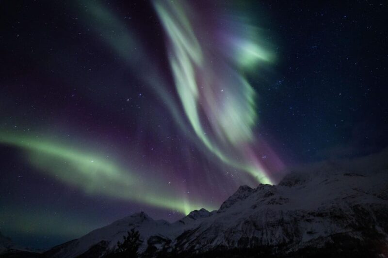 Tromsø: Northern Light Tour With Campfire and Hotel Transfer - Itinerary and Logistics
