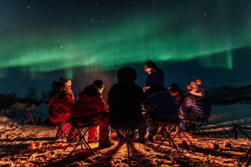 Tromsø: Northern Light Tour With Campfire and Hotel Transfer - Highlights of the Experience