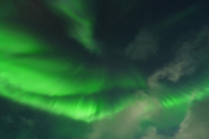 Tromsø: Northern Light tour with free complimentary photos. - The Experience in Practice: What Travelers Say