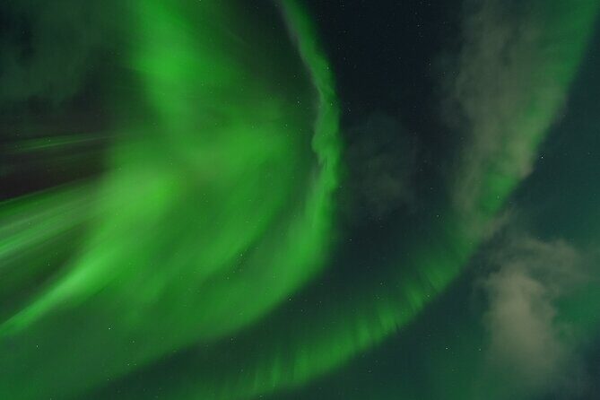 Tromsø: Northern Light tour with free complimentary photos. - The Sum Up