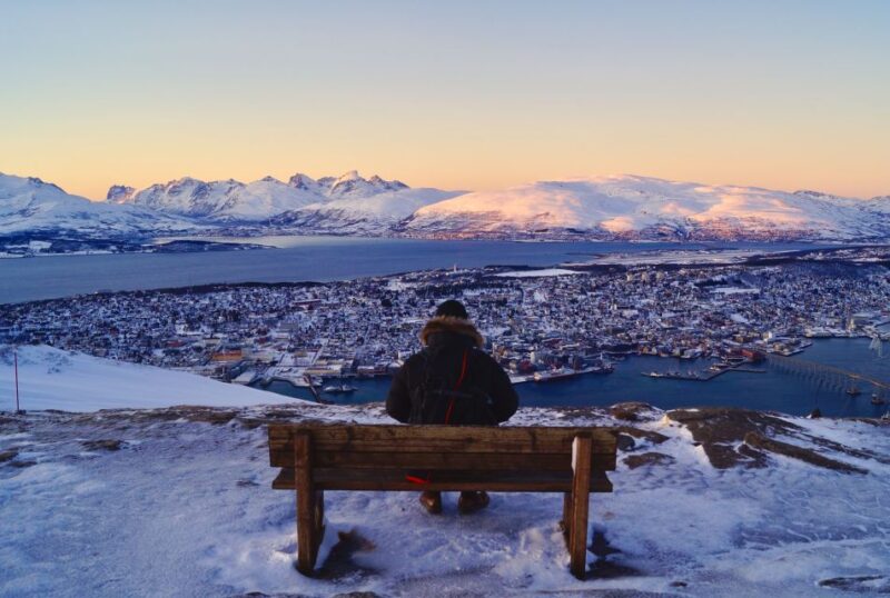 Tromso: Northern Lights Cable Car Excursion - Important Information