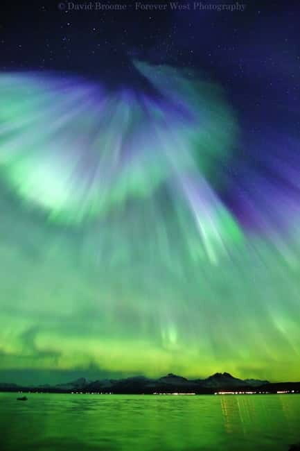 Tromsø: Northern Lights Chase + Free Professional Photos - Who Should Book This Tour?