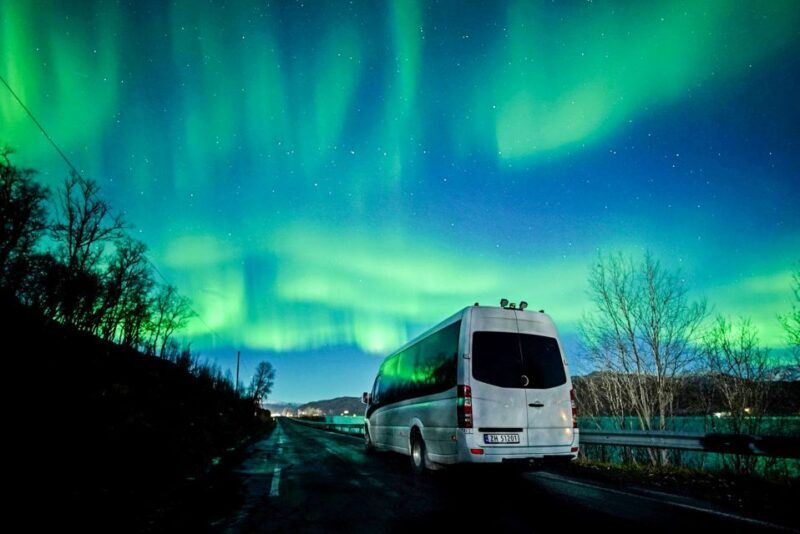 Tromsø: Northern Lights Chase Minibus Tour - Key Points