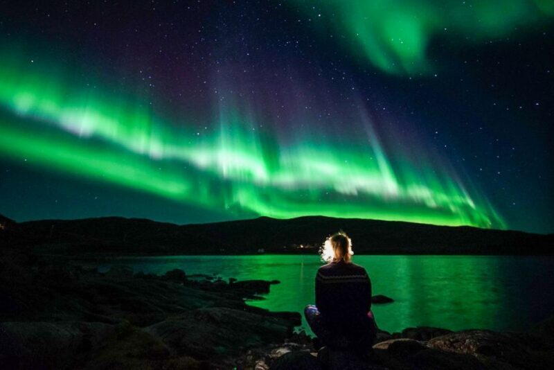 Tromsø: Northern Lights Chase Minibus Tour - An In-Depth Look at What to Expect