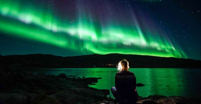 Tromsø: Northern Lights Chase Minibus Tour With Campfire - Pricing and Booking Details