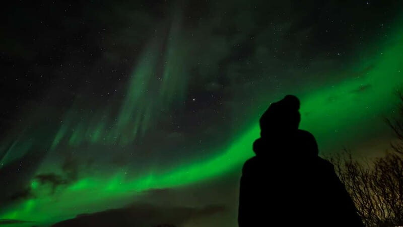 Tromsø: Northern Lights Focus Tour, German/English, minibus, meal - An In-Depth Look at the Tromsø Northern Lights Focus Tour