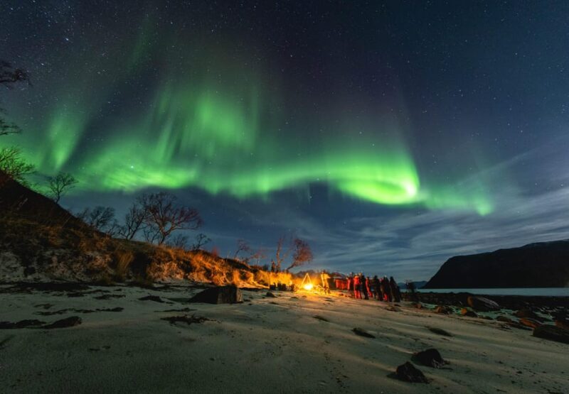 Tromsø: Northern Lights Focus Tour, German/English, minibus, meal - A Full Breakdown of the Northern Lights Focus Tour