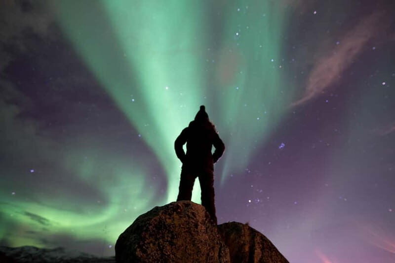 Tromsø: Northern Lights Hunt in French with Photographer - Who Will Love This Tour?