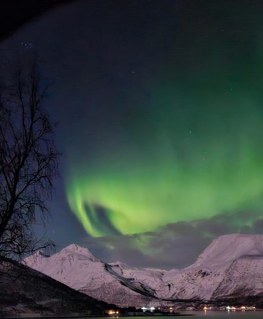 Tromsø: Northern Lights Hunt. Local Guide, Private Basecamp. - Key Points