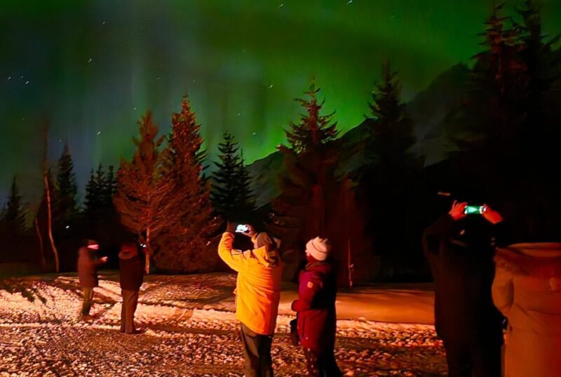 Tromsø: Northern Lights Hunt, private tour - Who Will Love This Tour?