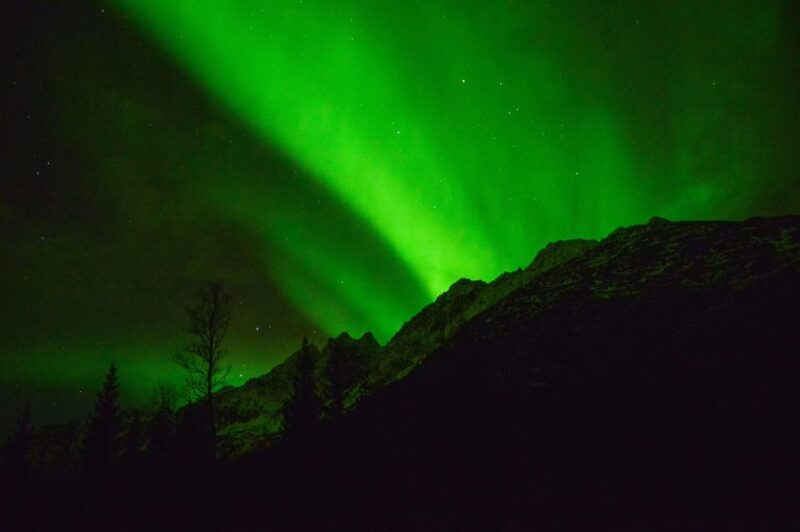 Tromsø: Northern Lights Hunt, private tour - The Sum Up