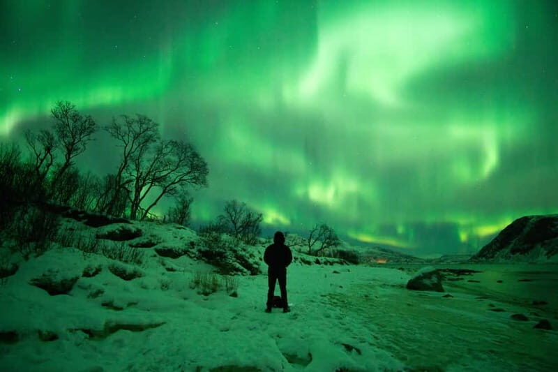 Tromsø: Northern Lights Hunt with Professional Photographer in Spanish - Tromsø: Northern Lights Hunt with Professional Photographer in Spanish