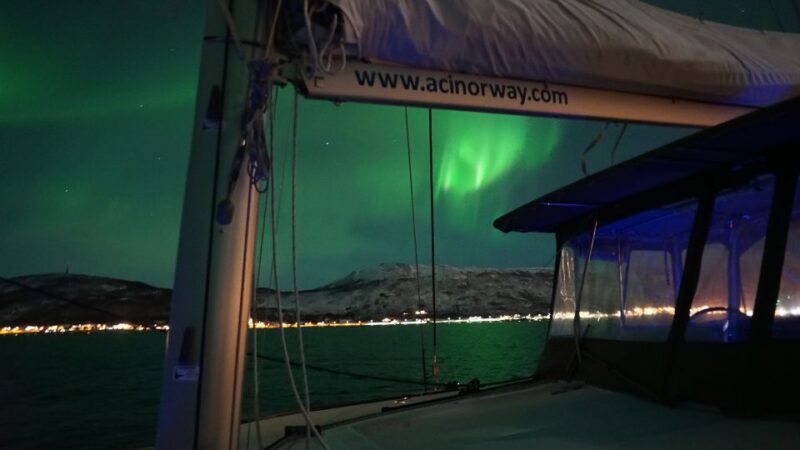 Tromsø: Northern Lights Luxury Catamaran Cruise - Highlights of the Experience
