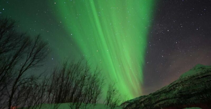 Tromsø: Northern Lights Minibus Small Private Tour Group - An In-Depth Look at the Tour