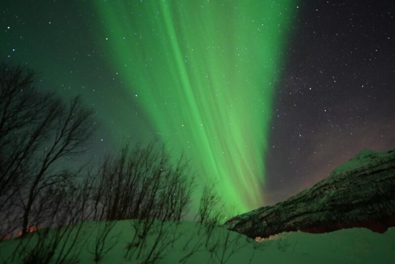 Tromsø: Northern Lights Minibus Small Private Tour Group - Considerations Before Booking