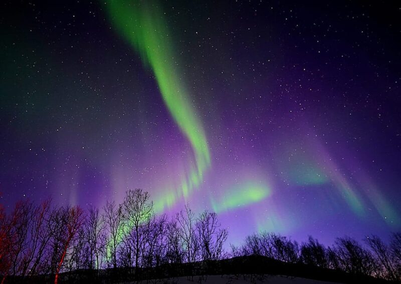Tromso: Northern Lights Minibus Tour with Campfire - A Closer Look at the Tromso Northern Lights Minibus Tour