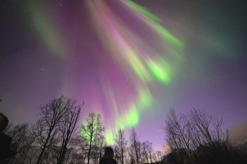 Tromso: Northern Lights Minibus Tour with Campfire - Final Thoughts