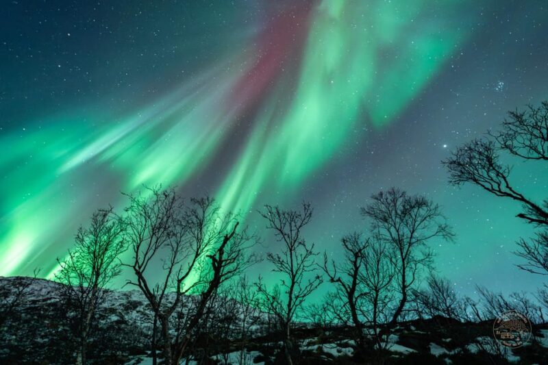 Tromsø: Northern Lights Photography Small-Group Tour - Transport, Duration, and Practicalities