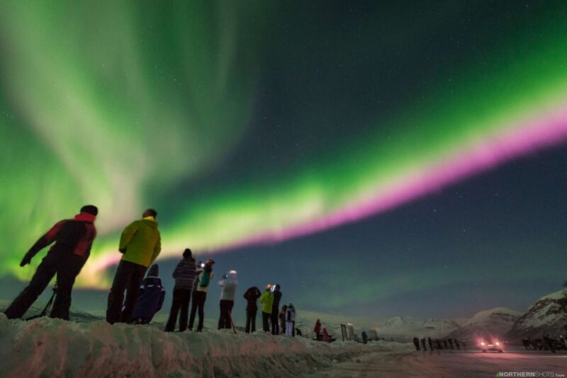 Tromso: Northern Lights Photography Tour by Bus (or miniBus) - Who Should Consider This Tour?