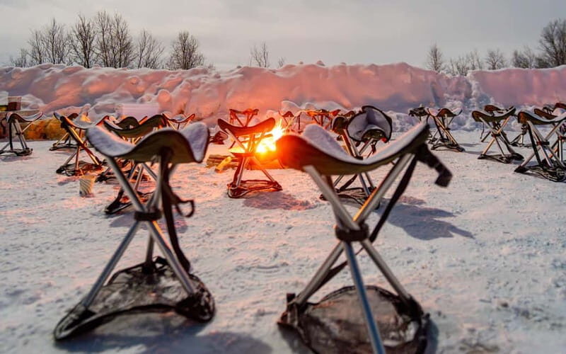 Tromsø: Northern Lights Safari - Key Points