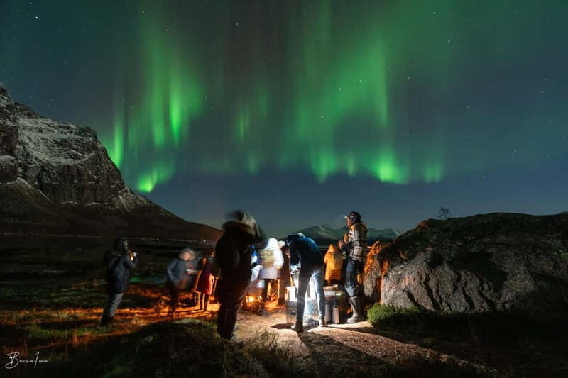 Tromsø: Northern Lights Safari - Group Sizes and Personal Experience