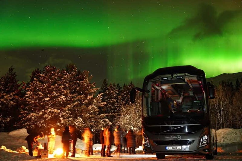 Tromsø: Northern Lights Safari - What’s Included and What’s Not
