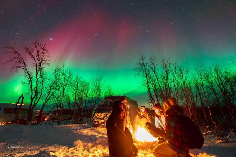 Tromsø: Northern Lights Safari - Practical Tips for Your Aurora Adventure