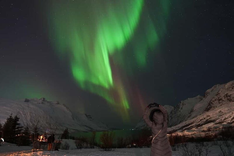 Tromsø: Northern Lights Tour with Free Professional Photos - Final Thoughts: Who Will Love This Tour?