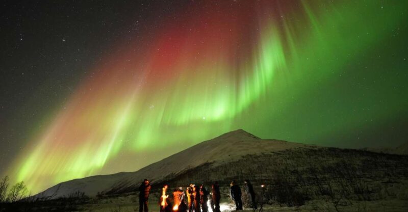 Tromsø: Northern Lights Tour with Free Professional Portrait - Key Points