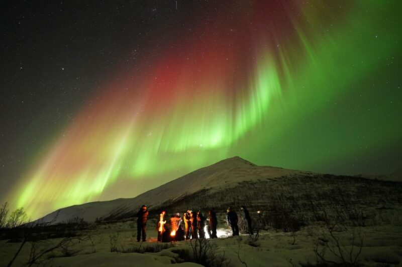Tromsø: Northern Lights Tour with Free Professional Portrait - A Deep Dive into the Experience