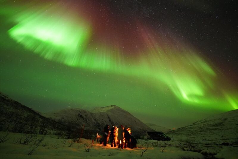 Tromsø: Northern Lights Tour with Free Professional Portrait - Final Thoughts