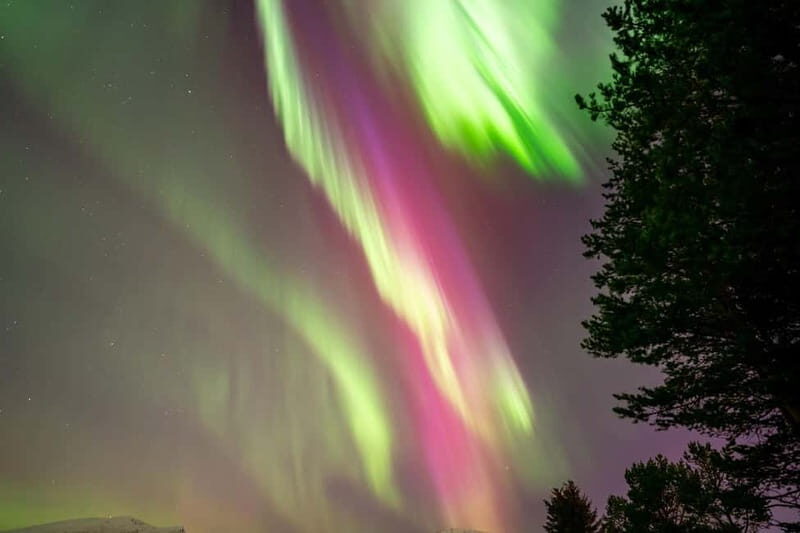 Tromsø: Northern Lights Tour with Hot Drinks and Snacks - Key Points