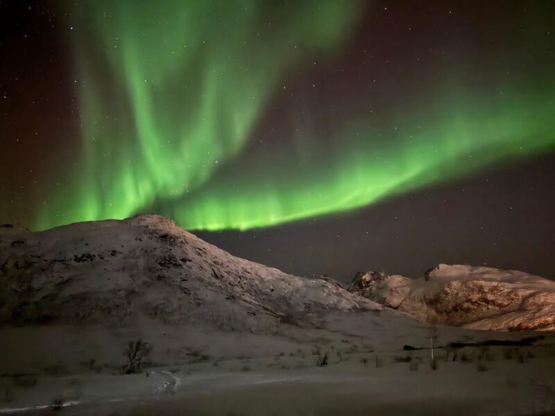 Tromsø: Northern Lights Tour With Hot Food and Drinks - Pricing and Duration