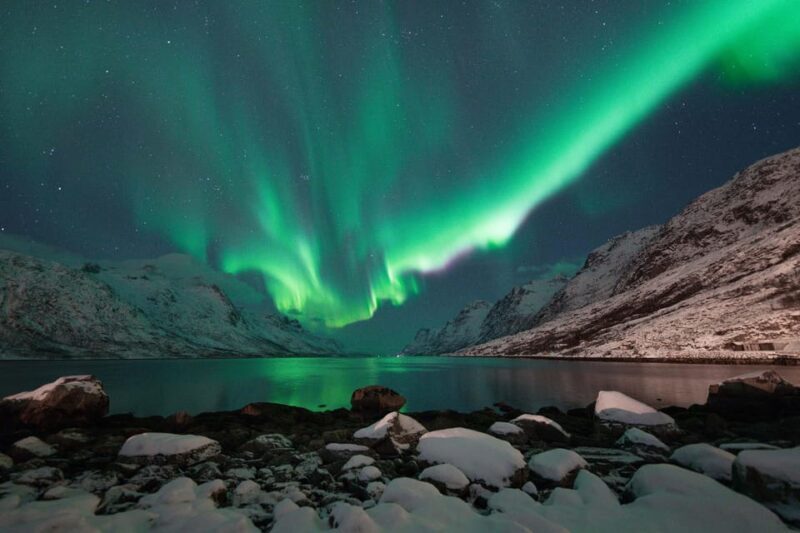 Tromsø: Northern Lights Tour with Local Guide and Photos - Key Points