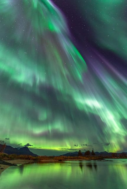 Tromsø: Northern Lights Tour with Local Guide and Photos - Authentic Experiences & Guest Reviews