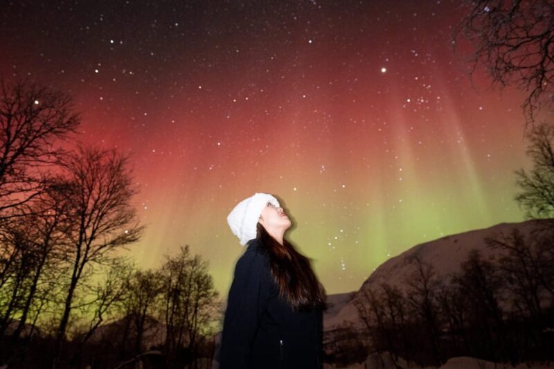 Tromsø: Northern Lights Tour with Local Guide and Photos - Who Should Book This Tour?