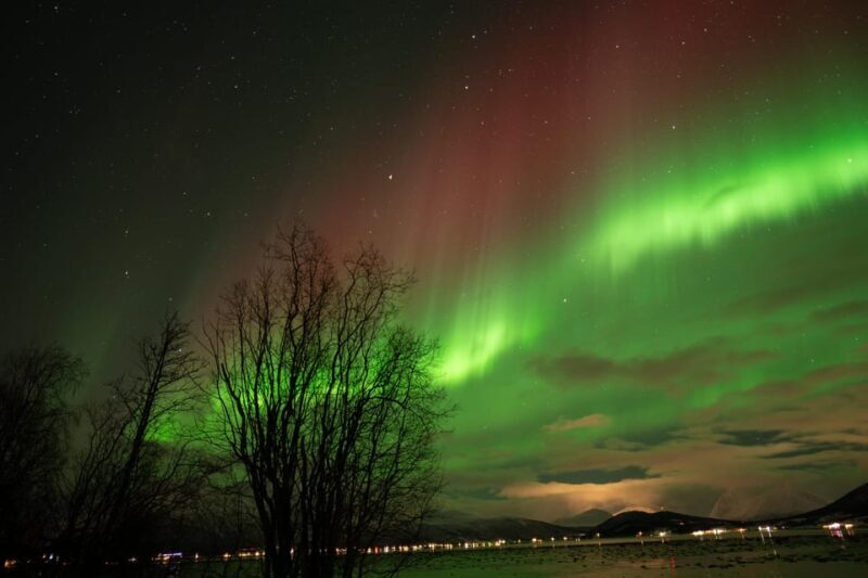 Tromsø: Northern Lights Tour with Local Guide and Photos - FAQs