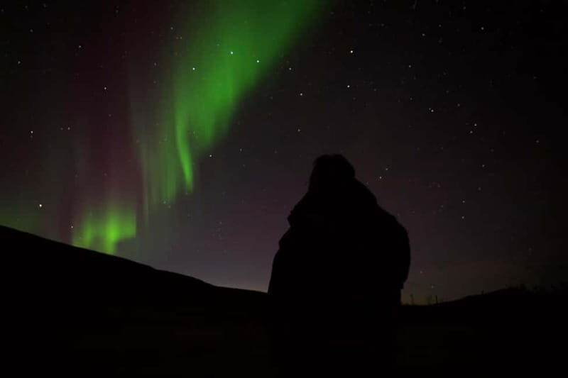 Tromsø: Northern Lights Tour with small group, minibus - What to Expect on the Tromsø Northern Lights Tour